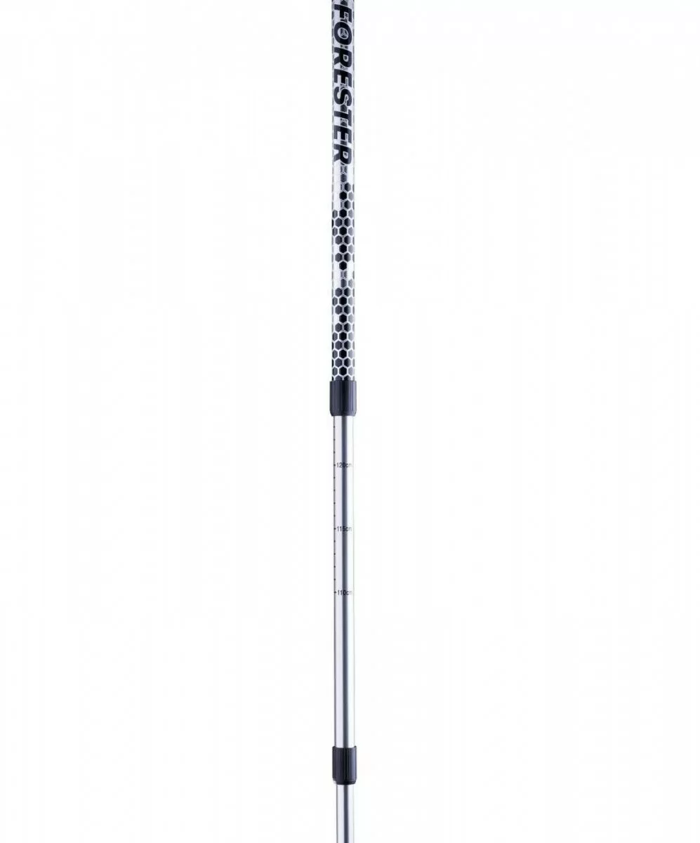 Реальное фото Палки для скандинавской ходьбы Berger Forester, 67-135 см, 3-секционные, серый/чёрный УТ-00010963 от магазина СпортСЕ