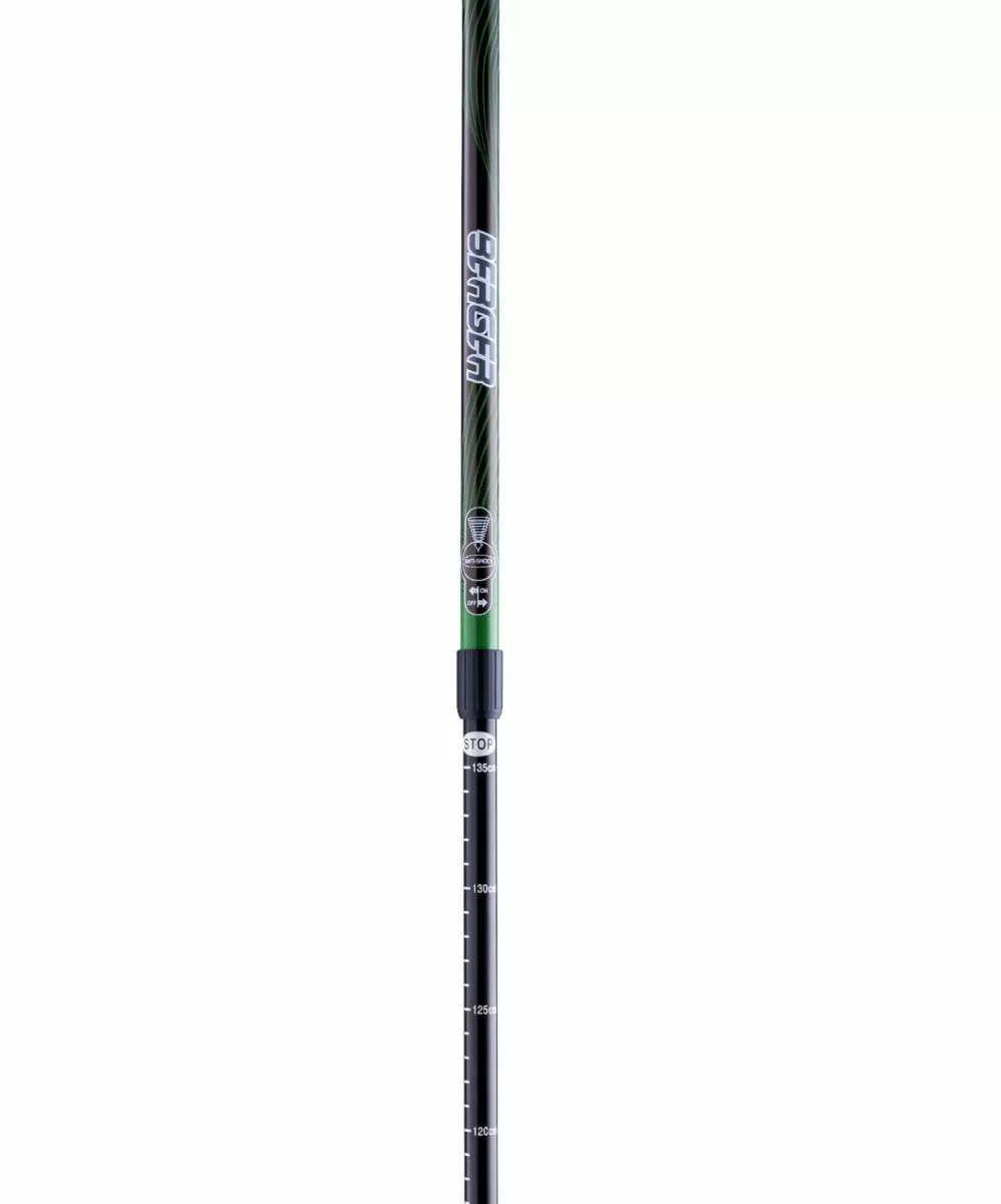 Реальное фото Палки для скандинавской ходьбы Berger Rainbow, 77-135 см, 2-секционные, чёрный/ярко-зелёный 10966 от магазина СпортСЕ