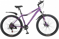 Велосипед TechTeam Katalina 27.5" фиолетовый
